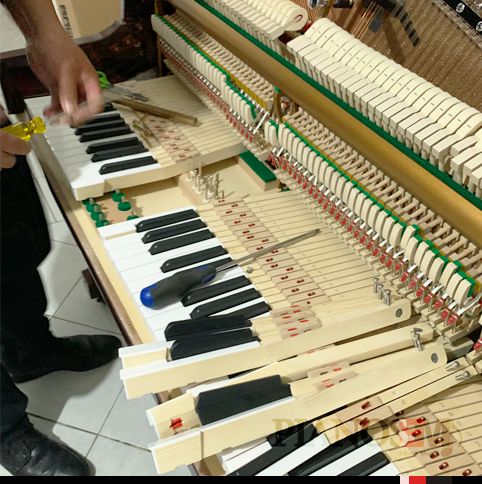 Pianos EM - Servicio de afinación o reparación de pianos